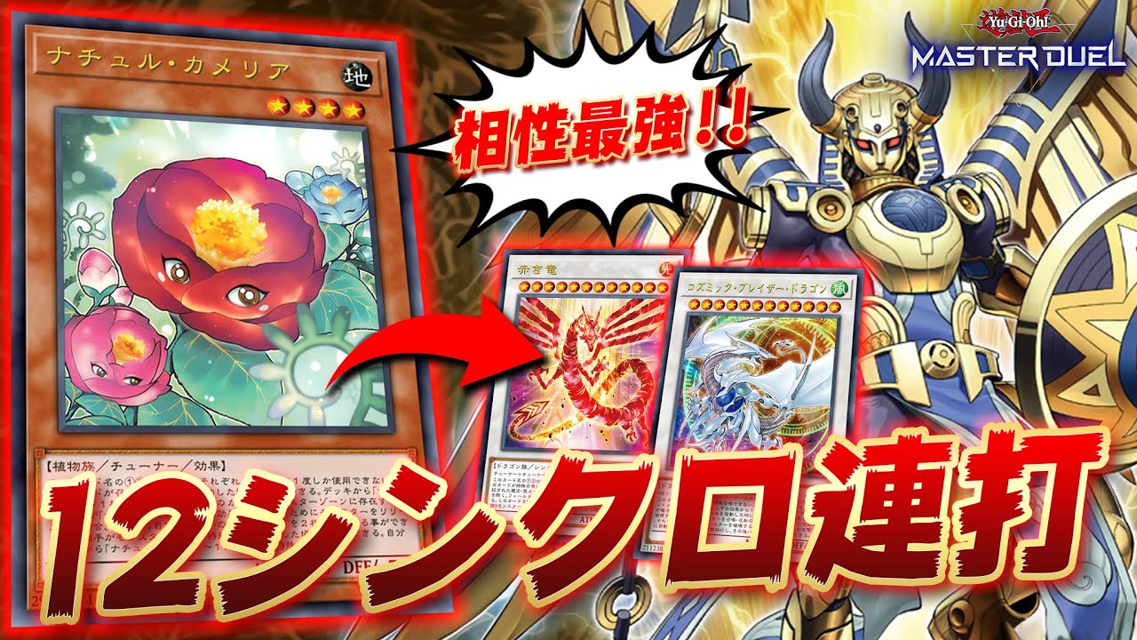 【※ぶっ壊れ】大型シンクロのバーゲンセール!! 連続シンクロが止まらない!!『ナチュルホルス』【遊戯王マスターデュエル】【Yu-Gi-Oh! Master Duel】