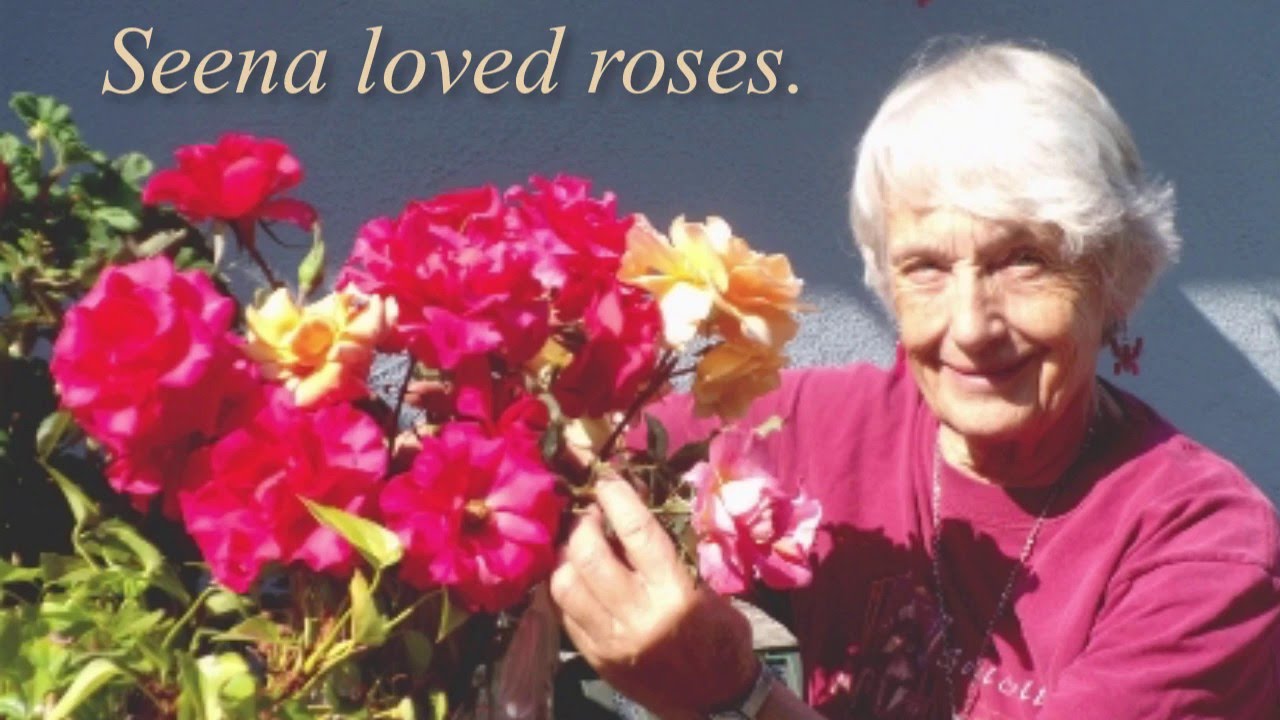 To Seena, With Love