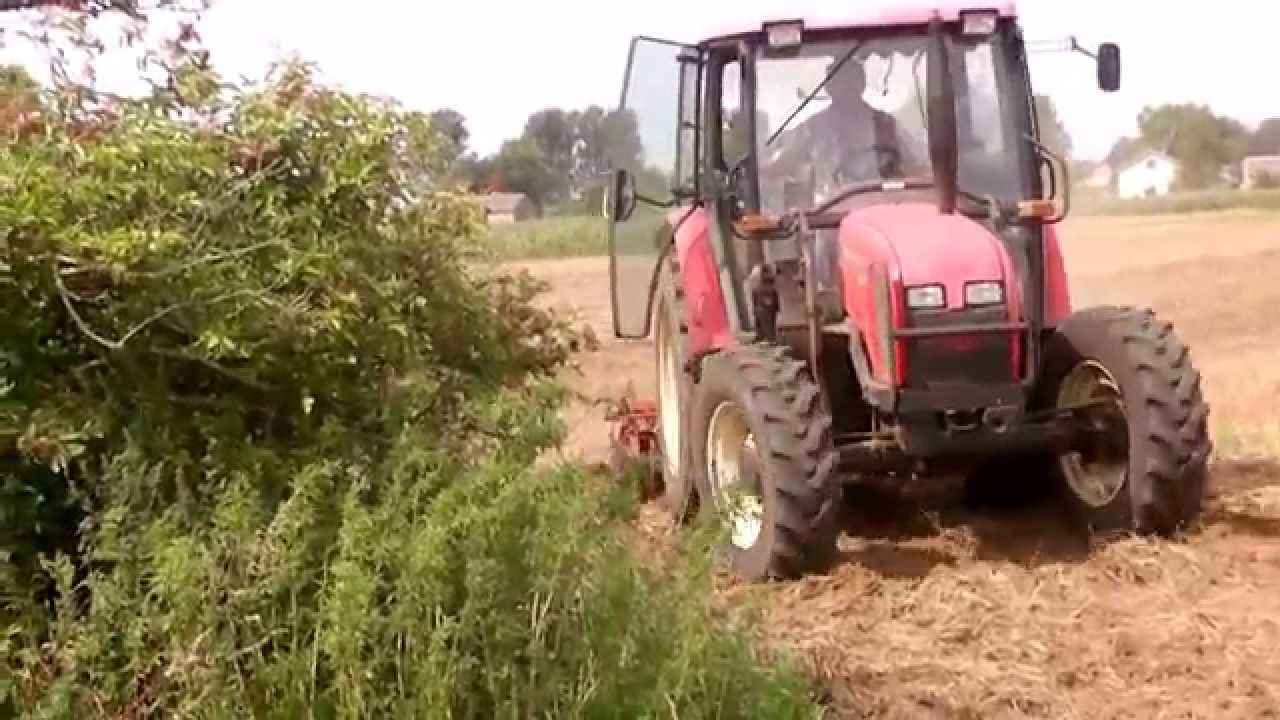 Talerzowanie 2014 I Prace Pożniwne I Zetor 5341 Super