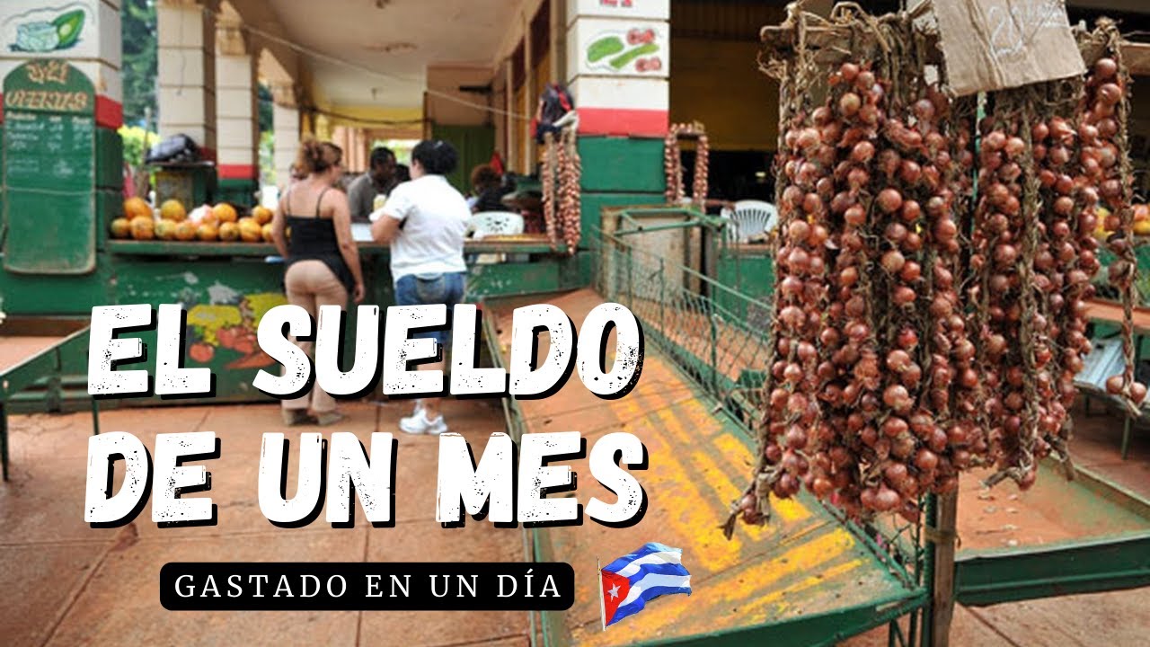 La cruda realidad/Qué compro con el sueldo de un mes en 🇨🇺Cuba?/Así no se puede vivir.