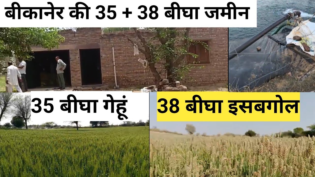 बीकानेर के सबसे पास की 35 बीघा प्लस 38 बीघा जमीन बिकाऊ ट्यूबवेल मीठा पानी  मकान हाईवे से 8 KM दूर 