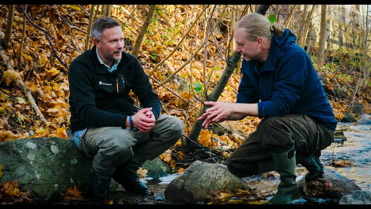 Från källa till kust - restaureringen av Näveån