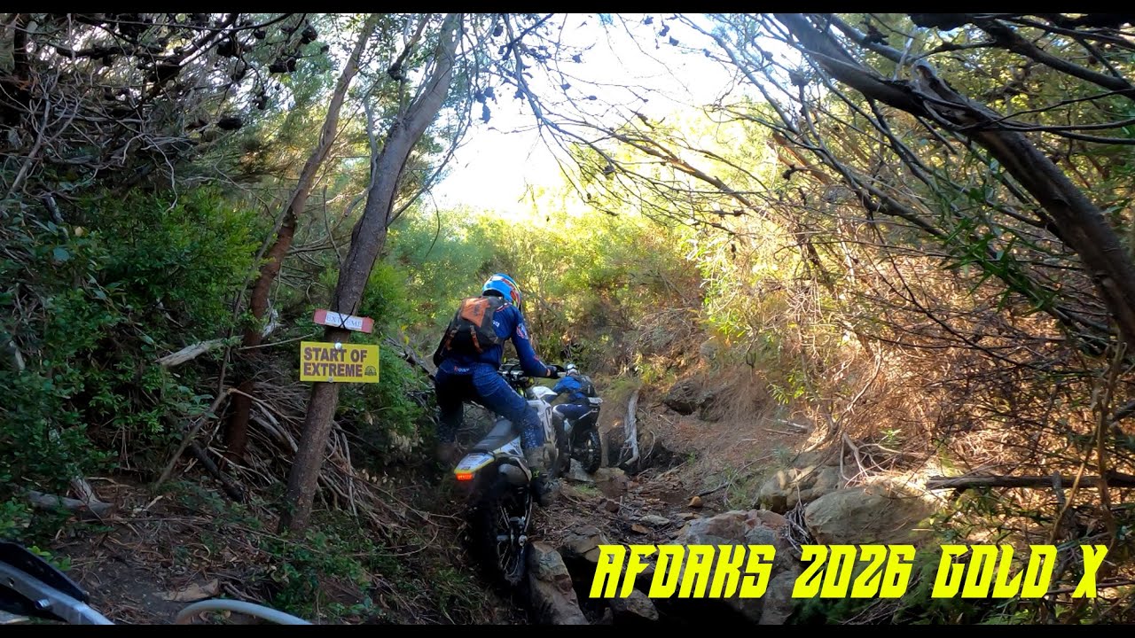 AFDAKS GOLD X 2026