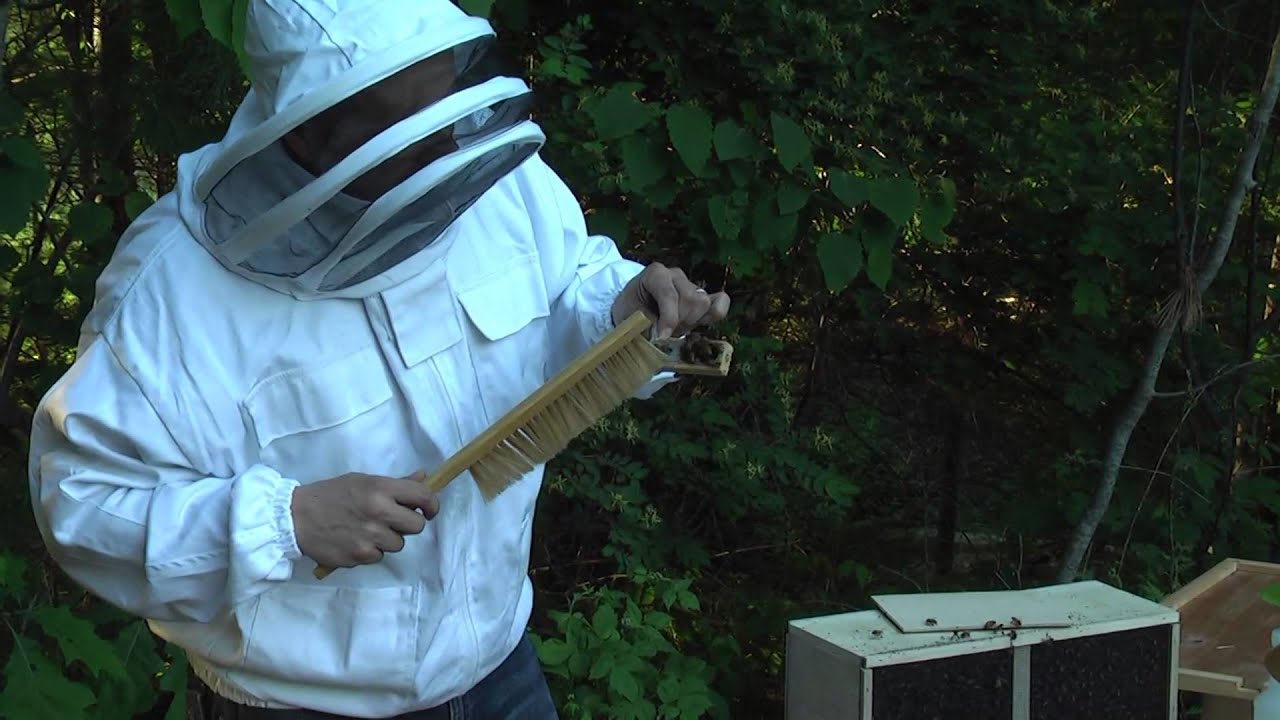 S01E02 - Instalacja pakietów pszczelich