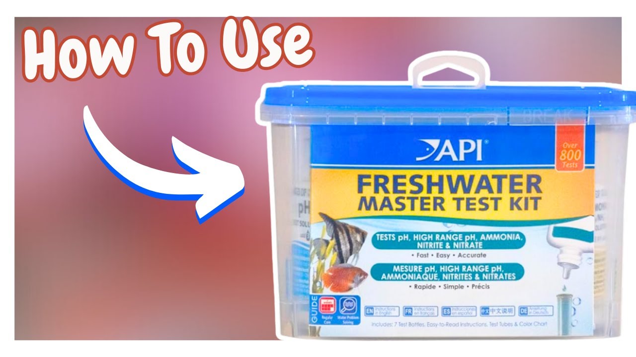 Как использовать тестовый набор API FRESHWATER MASTER