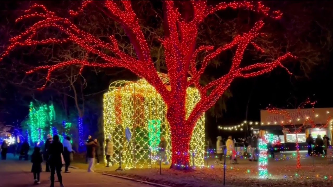 LITD Detroit Zoo Wild Lights