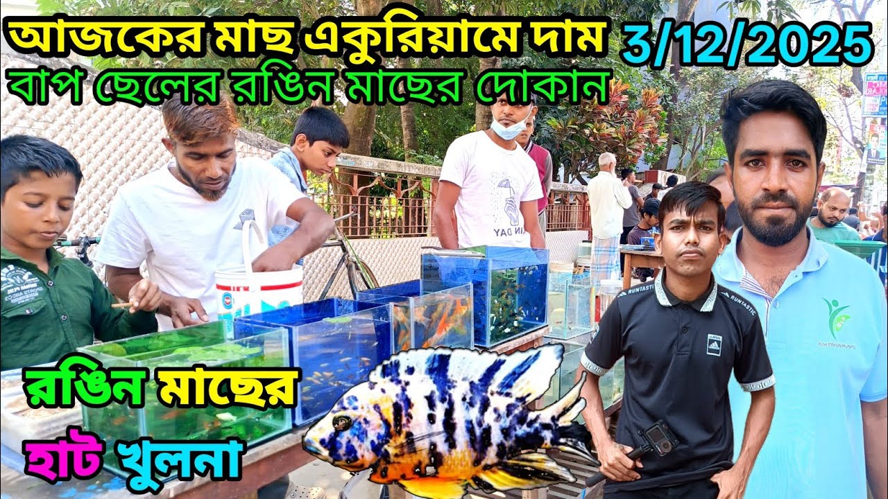 খুলনা🦐 রঙিন 🐟মাছের হাট Aquarium Fish 🐢price ni Bangladesh 2025 aquarium fish price রঙিন 🐠মাছের দোকান
