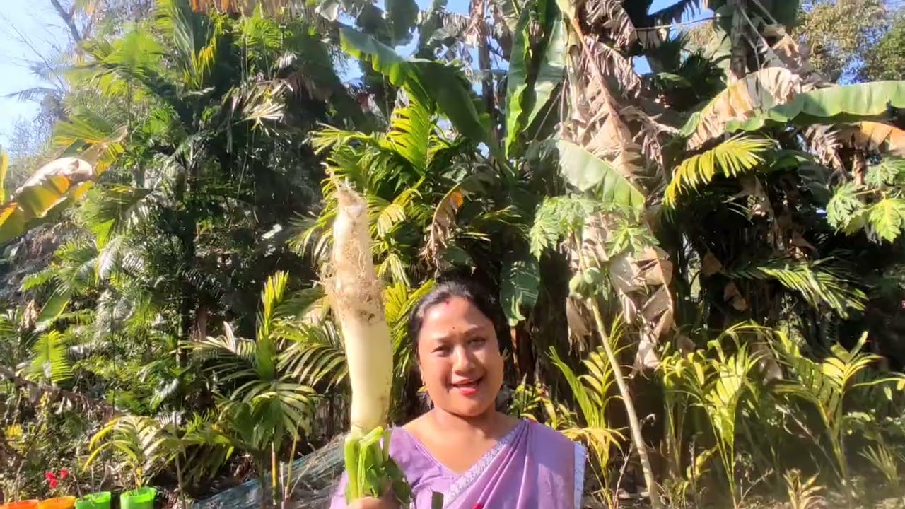  বাৰীৰ পৰা শাক চিঙিবলৈ যাও। 