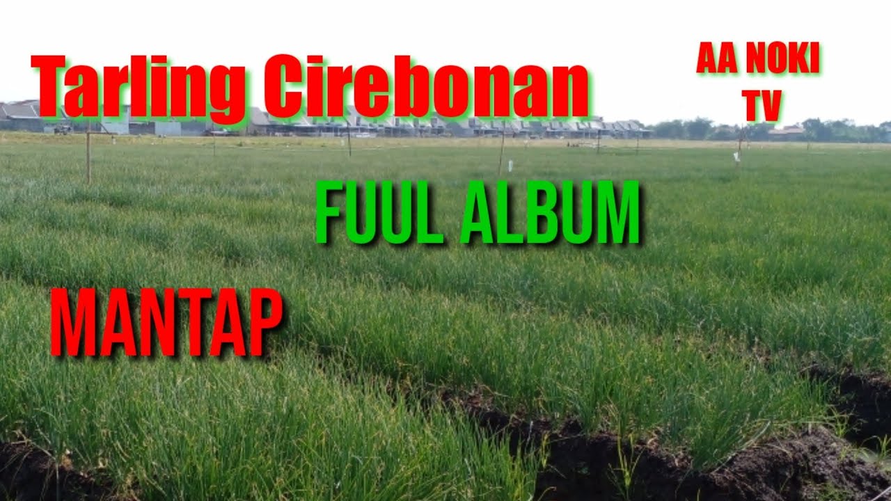 Tarling Cirebonan Fuul Album//menikmati suasana kebun bawang