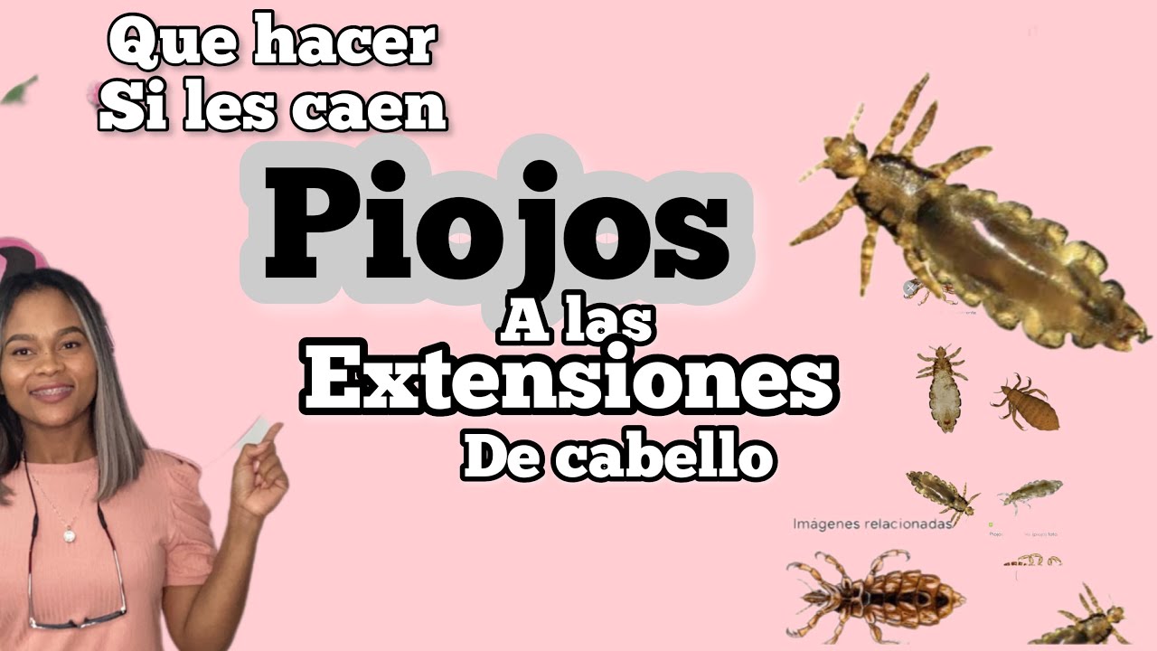 Cómo retirar los Piojos de las extensiones
