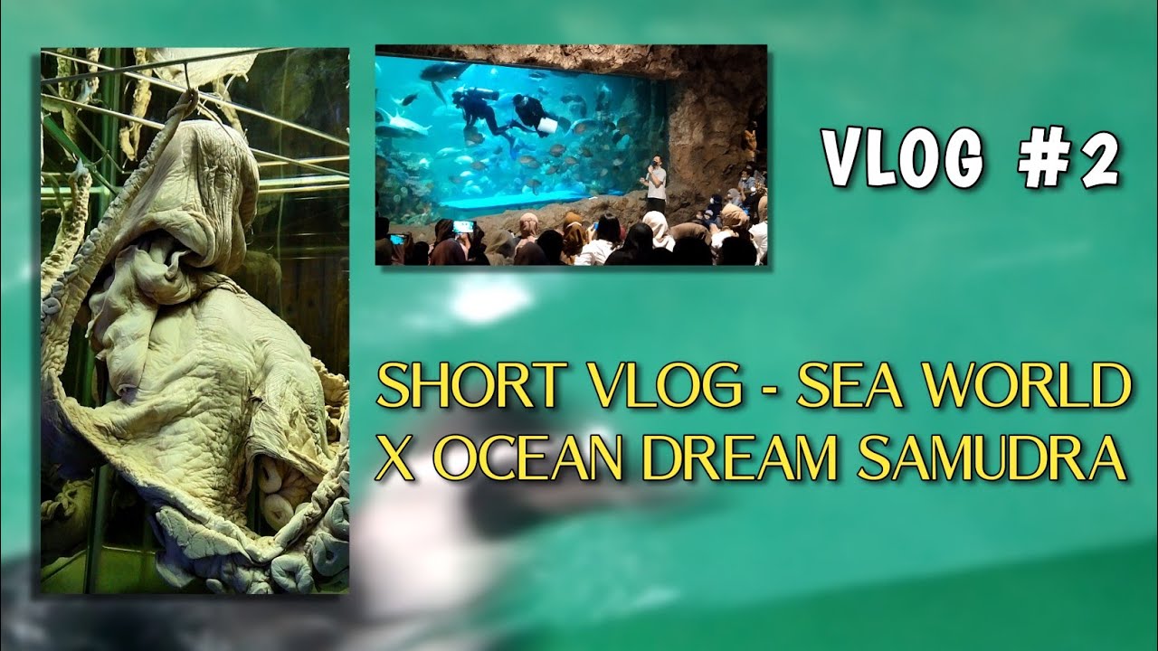 SHORT VLOG - SEA WORLD X OCEAN DREAM SAMUDRA | VVlog #2