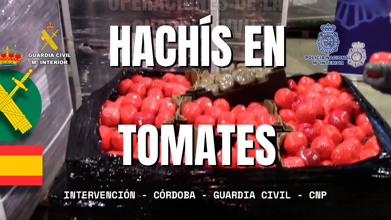 Intervenidas más de 22 toneladas de hachís camuflado en el interior de falsos tomates