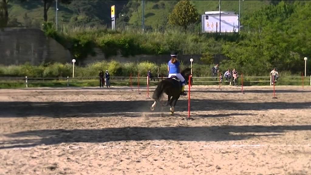 Trofeo dei Tre Mari (Agnano) - 2a tappa - Cat. B2 Blue Flash.