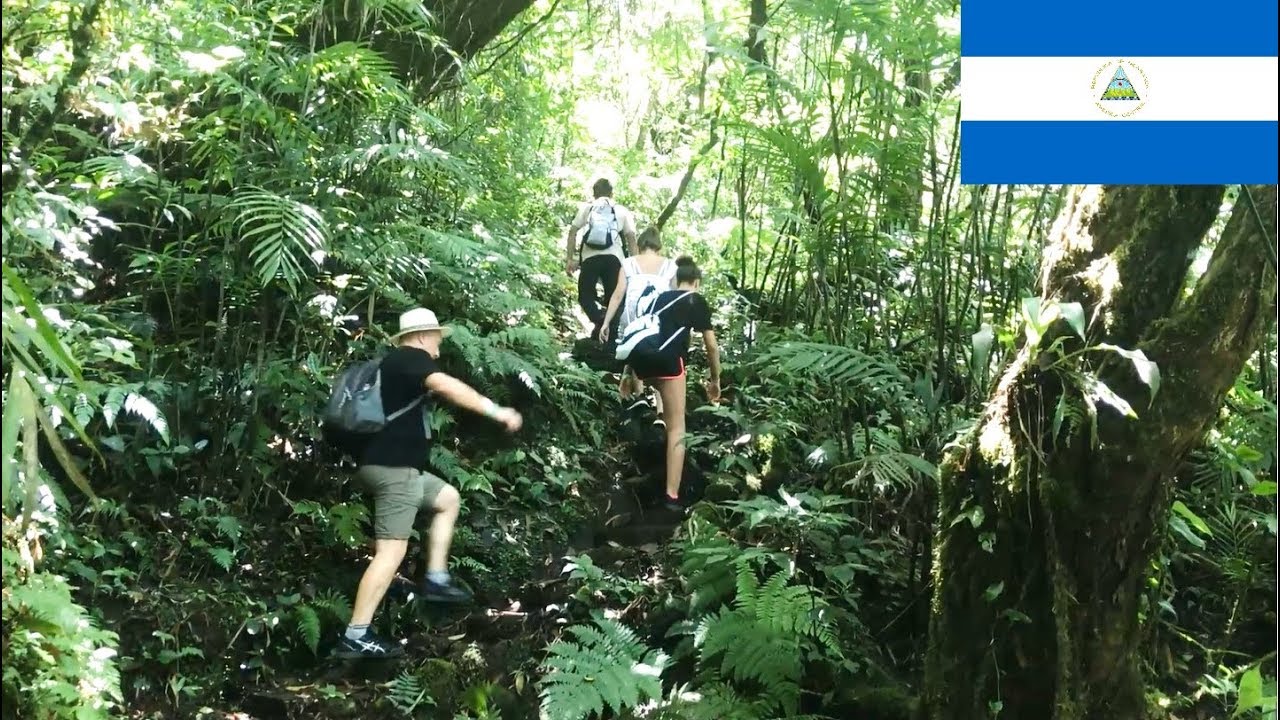 Nicaragua: Volcano Mombacho - tigrillo and puma trail