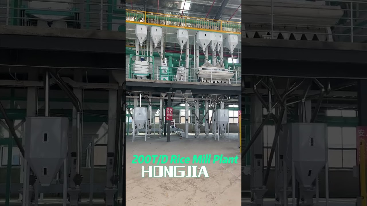 200T Rice Mill Plant | Rice Processing Machine Factory from China #ricemillsupplier #ricemill