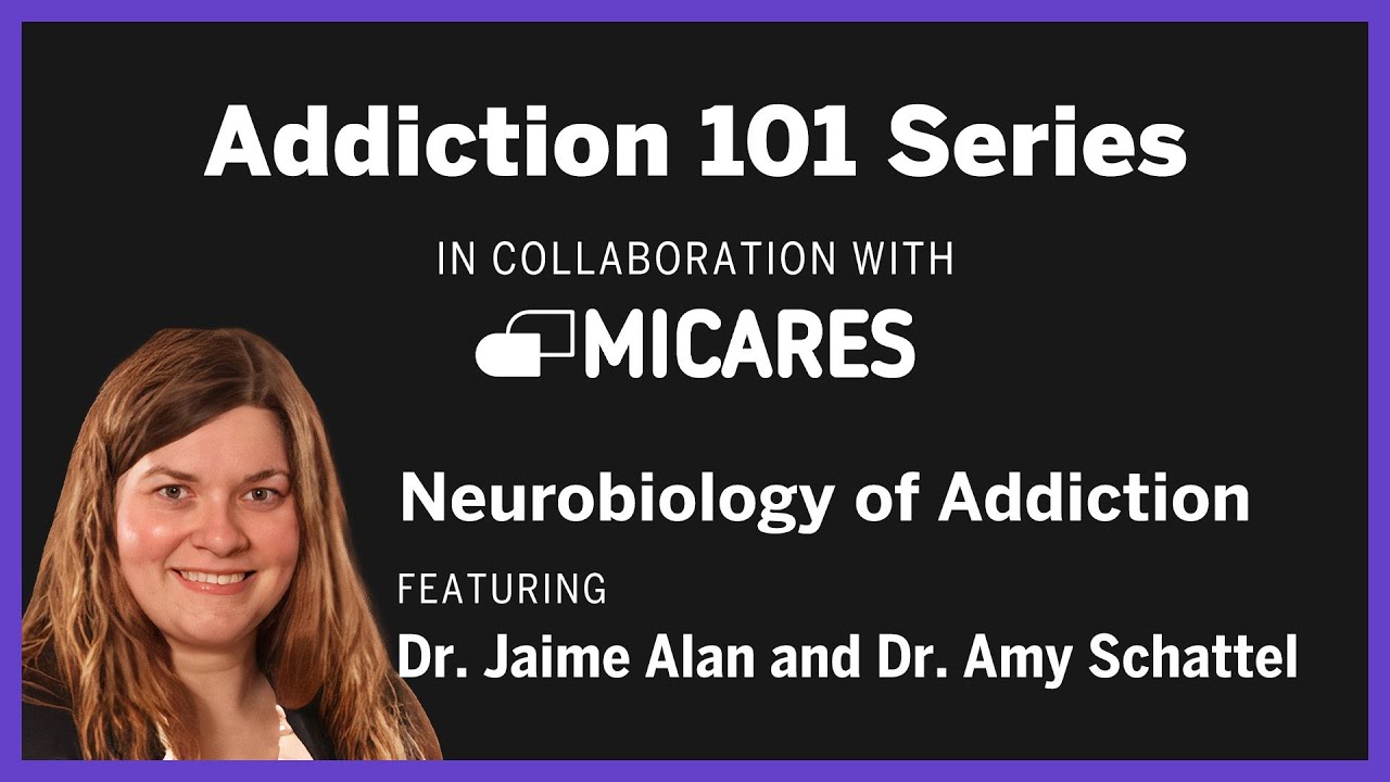 Addiction 101: Neurobiology of Addiction