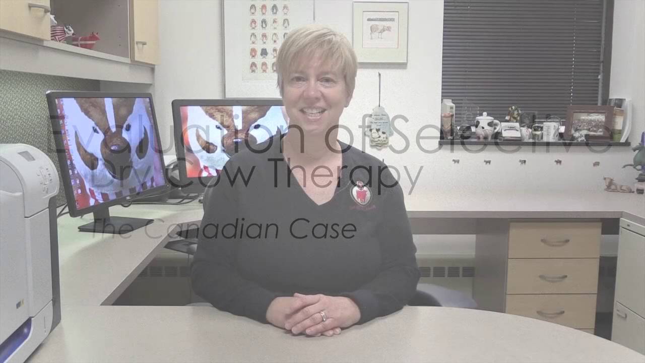 The Science Behind Selective Dry Cow Therapy