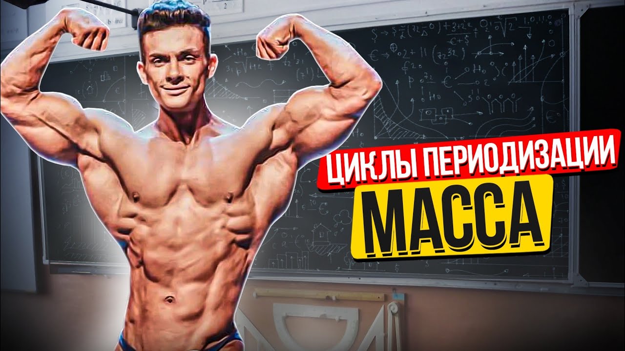 ВИКТОР СИМКИН / КАК НАБРАТЬ МАССУ / ЦИКЛЫ ПЕРИОДИЗАЦИИ 