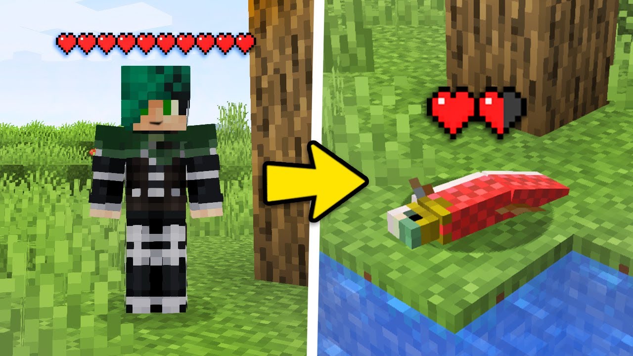 COME TRASFORMARSI in TUTTI I MOB!! - Minecraft ITA MOD