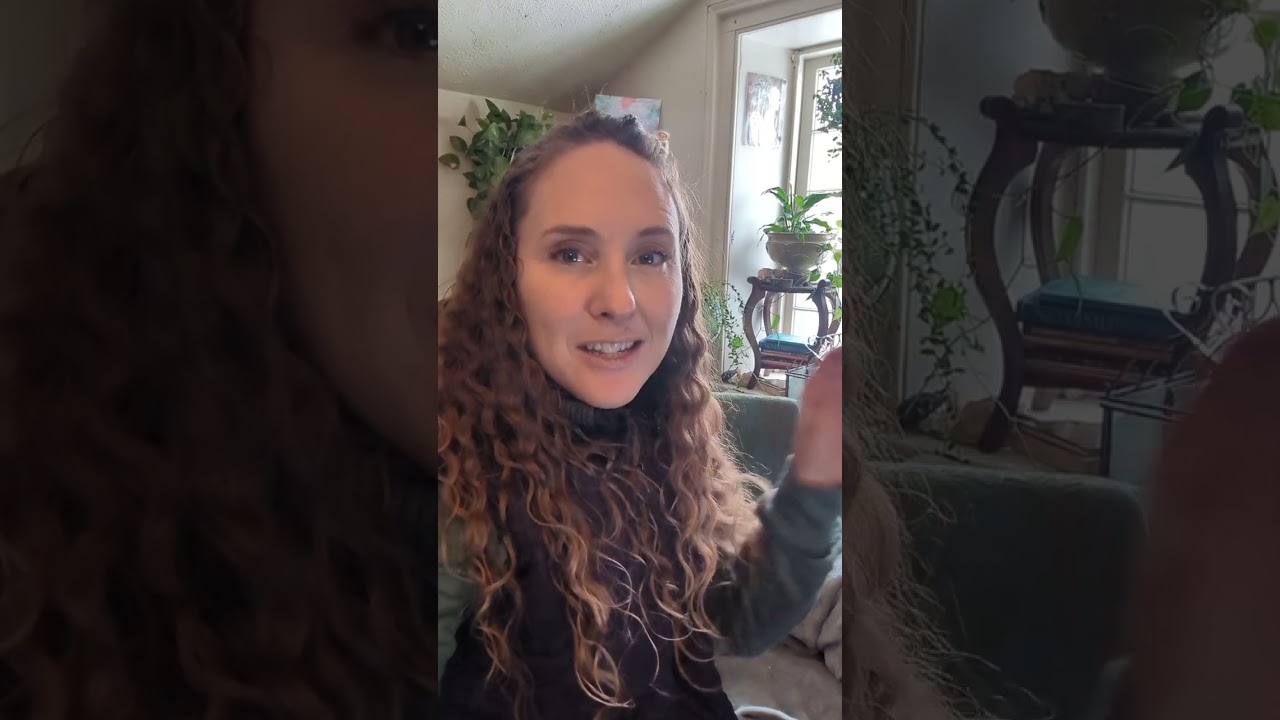 Cats, Retreats & INNER SYSTEMS