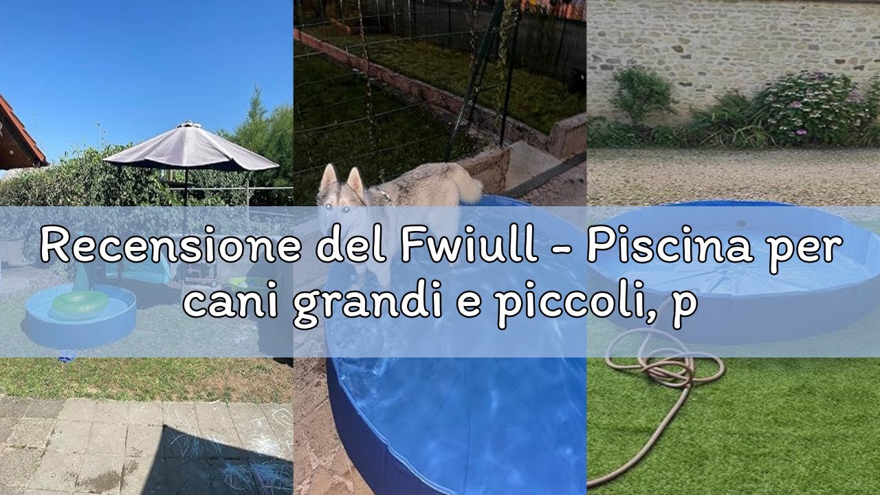 Recensione del Fwiull - Piscina per cani grandi e piccoli, pieghevole, per cani, vasca da bagno, 160