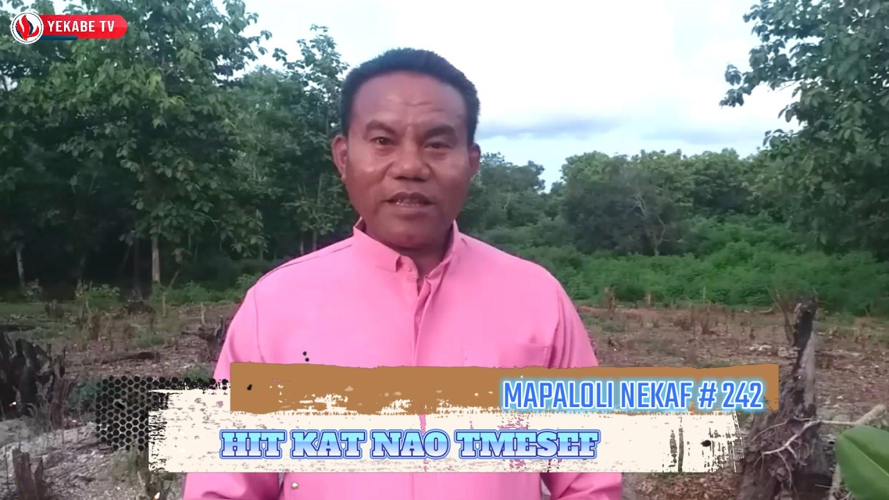 MAPALOLI NEKAF 242 - HIT KAT NAO TMESEF