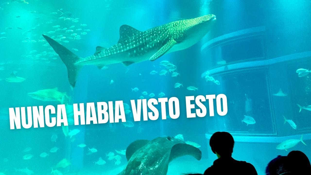 EL ACUARIO DE OSAKA JAPÓN