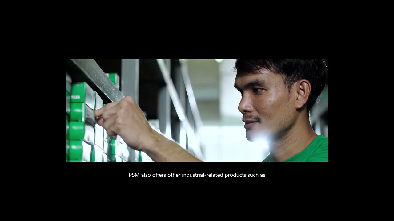 P.S.M. Company Profile FAG&INA