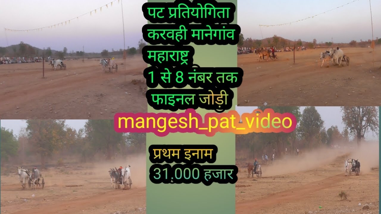 पट प्रतियोगिता करवही मानेगांव महाराष्ट्र 1 से 8 तक फाइनल जोड़ी #mangesh_pat_video 