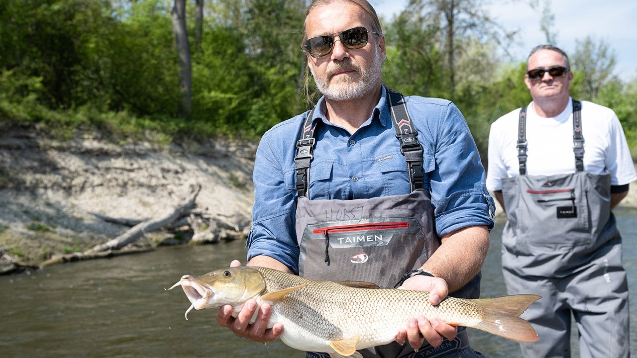 Fischwanderhilfe eröffnet (VERBUND Life Network Danube Plus)