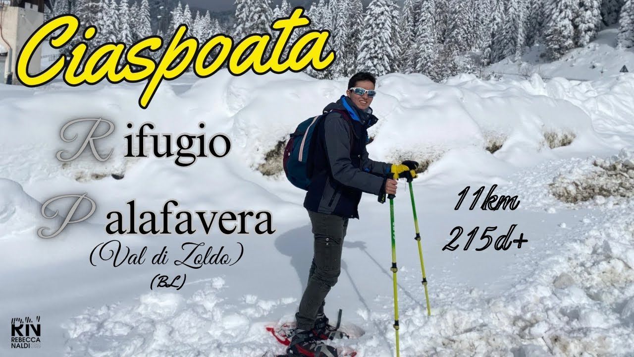 ❄️Ciaspolata da Rifugio Palafavera a Malga Visonà❄️