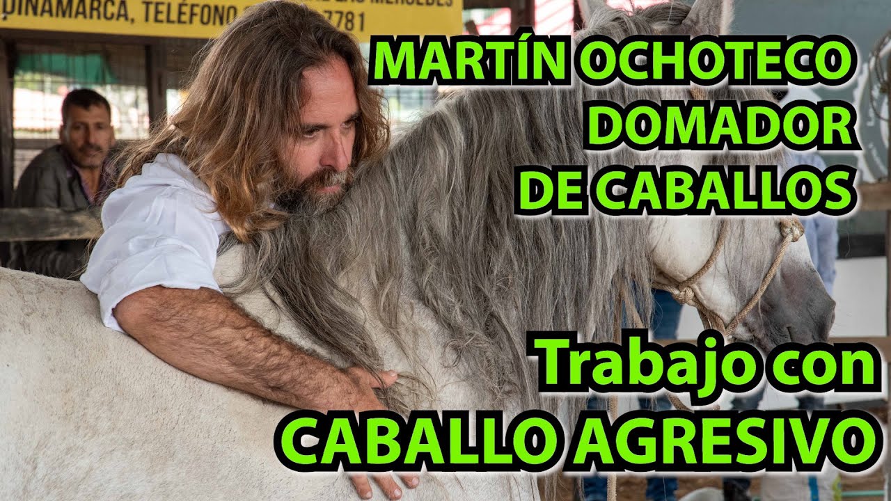 DOMADOR DE CABALLOS MARTÍN OCHOTECO 2019 #eldomadordecaballos #martinochoteco #domaracional