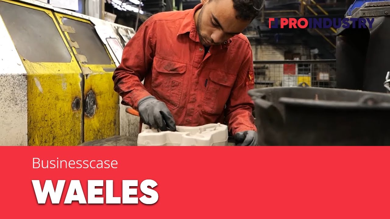 Waeles | Pro Industry | Businesscase