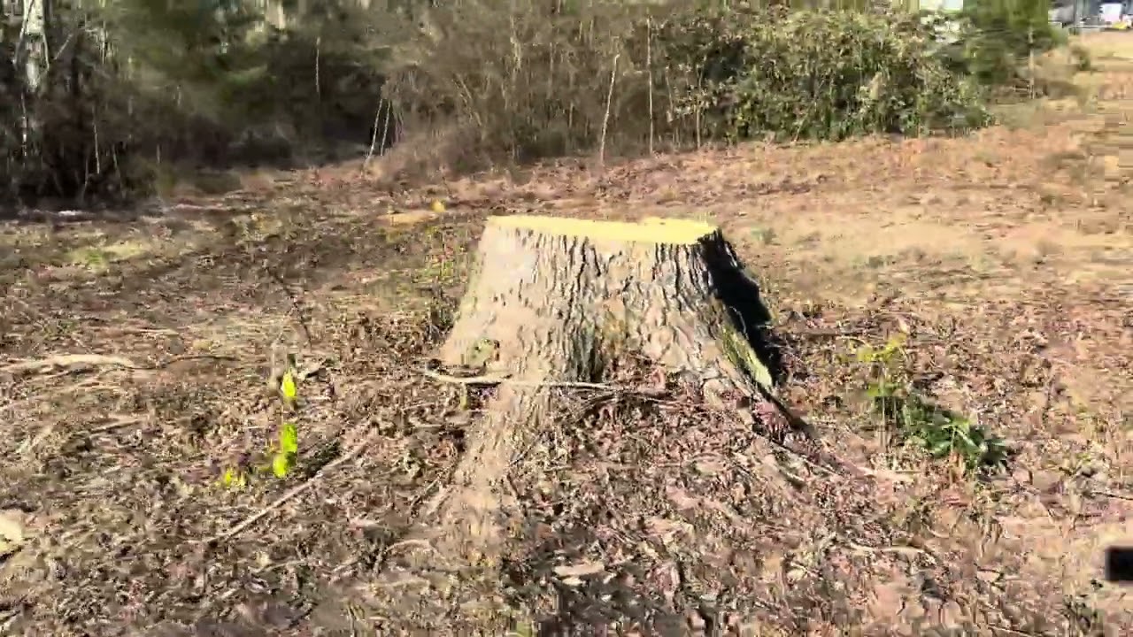 Storm Damage Cleanup | Boone&rsquo;s Stump Grinding