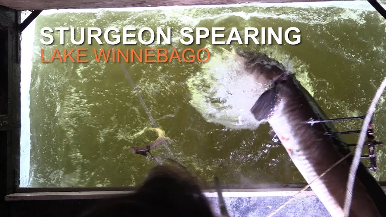 Sturgeon Spearing 2018 | Lake Winnebago