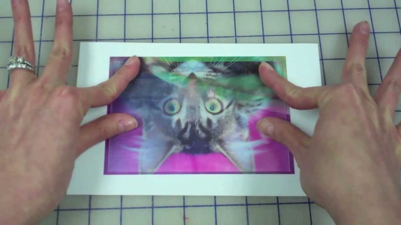 Cat & Mouse Project Trailer