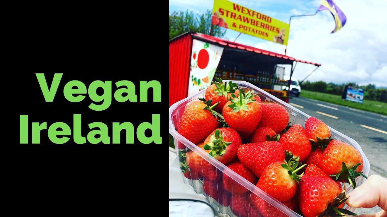 Vegan Food Tour of Ireland: Tips from a Travel Writer (2019)