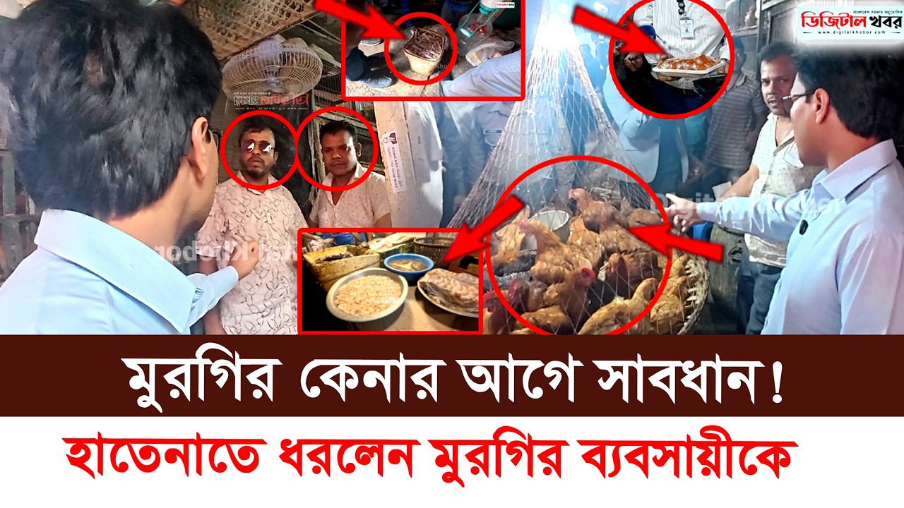 ধরা পরলো মুরগির ব্যবসায়ী।সোনালি মুরগি বলে কালার বার্ড বিক্রি।ভোক্তা অধিদপ্তরের অ ভি যা ন