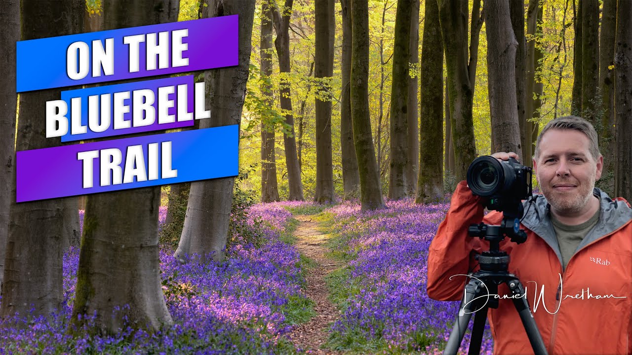 Photographing Amazing Bluebells | Landscape Photography | Hampshire | Canon EOS R5