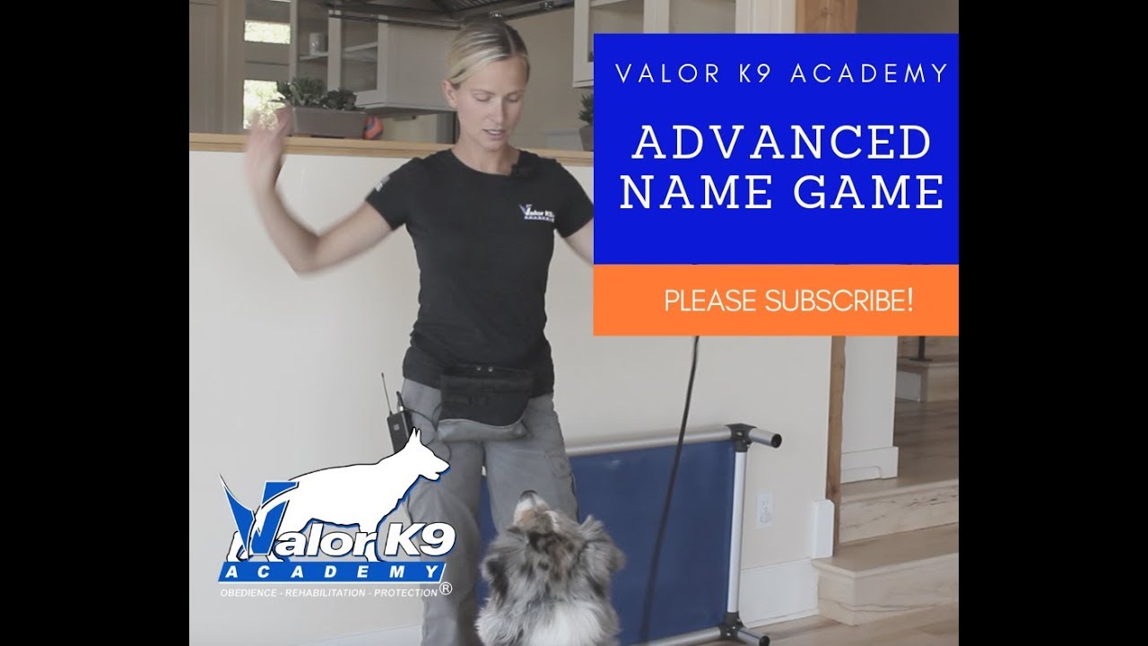 Name Game Advanced | Amy Pishner | Valor K9 Academy