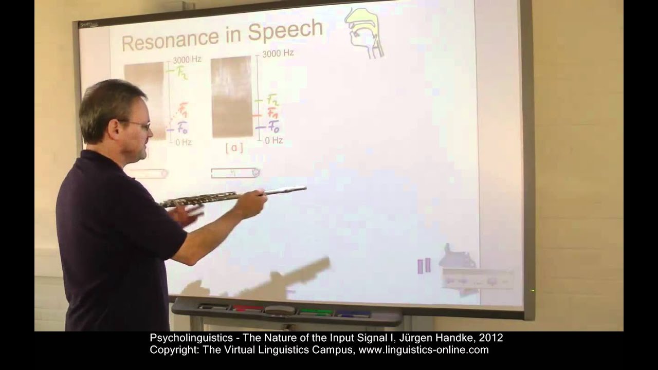 PSY106 - The Nature of the Input Signal I