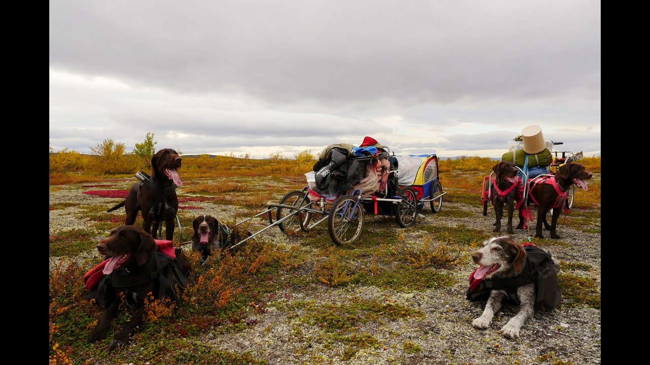 Kautokeinojakta 2015