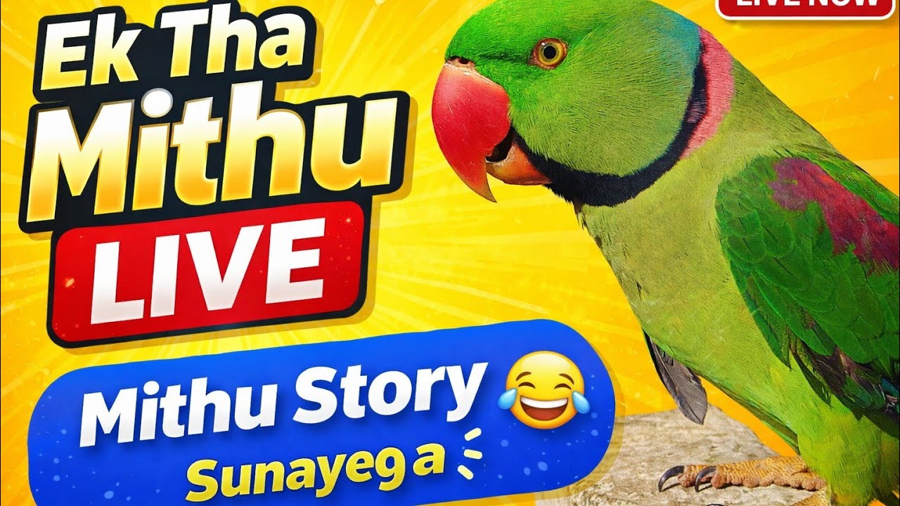 Mithu ki  live baten sunu🦜 #talkingparot #funny #harleenvlogs 