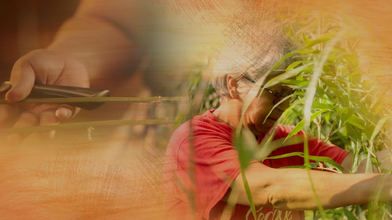 River Cane Harvesting, Splitting and Peeling | Thrive: Traditions S6 • E4