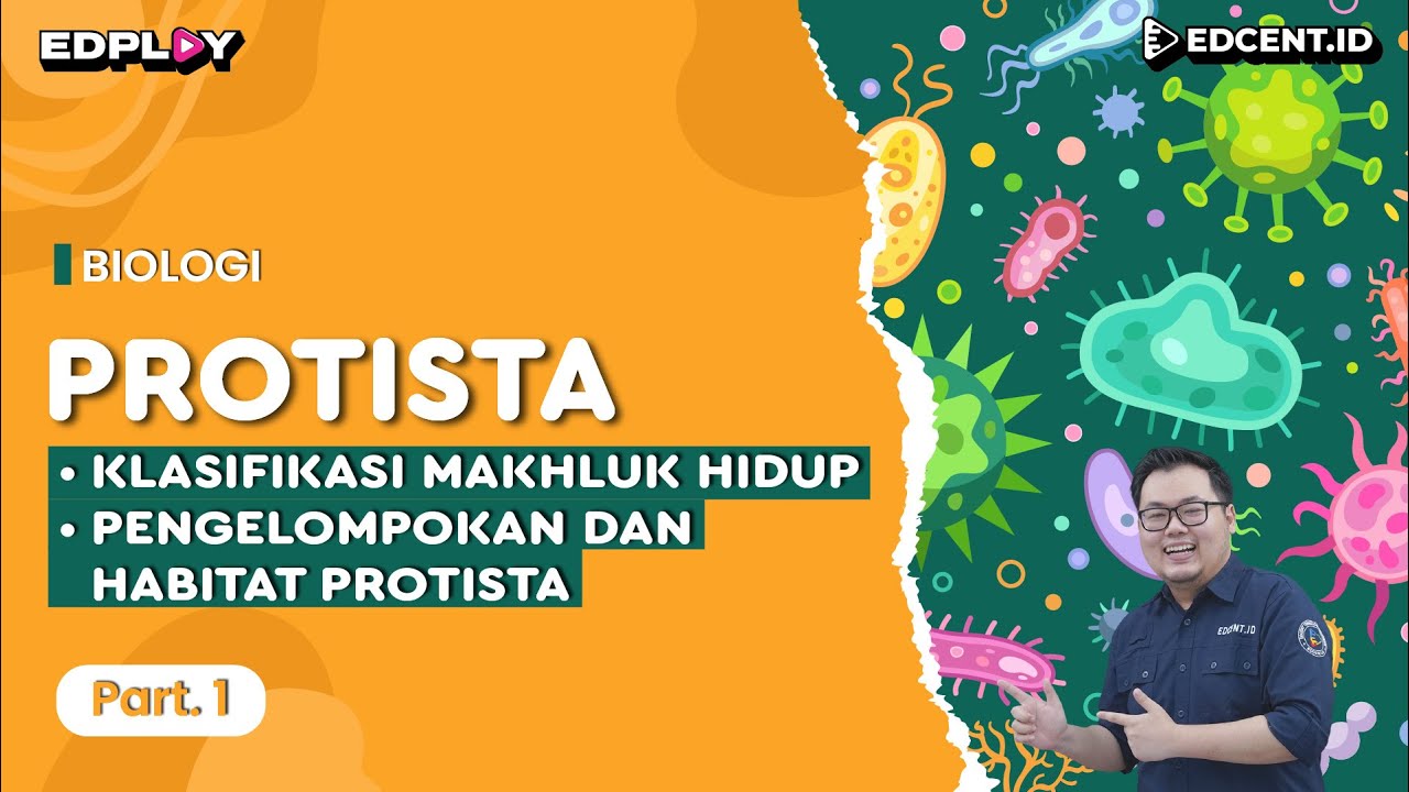 Materi Biologi: Protista | Klasifikasi Makhluk Hidup, Pengelompokan & Habitat Protista | Part 1