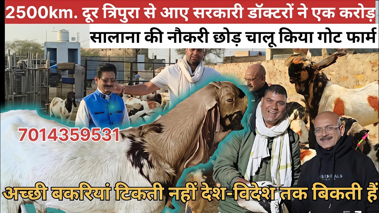 2500kM. दूर त्रिपुरा से आए सरकारी डॉक्टरों🩺 ने एक करोड़ सालाना की नौकरी छोड़😱 चालू किया गोट फार्म 🐐