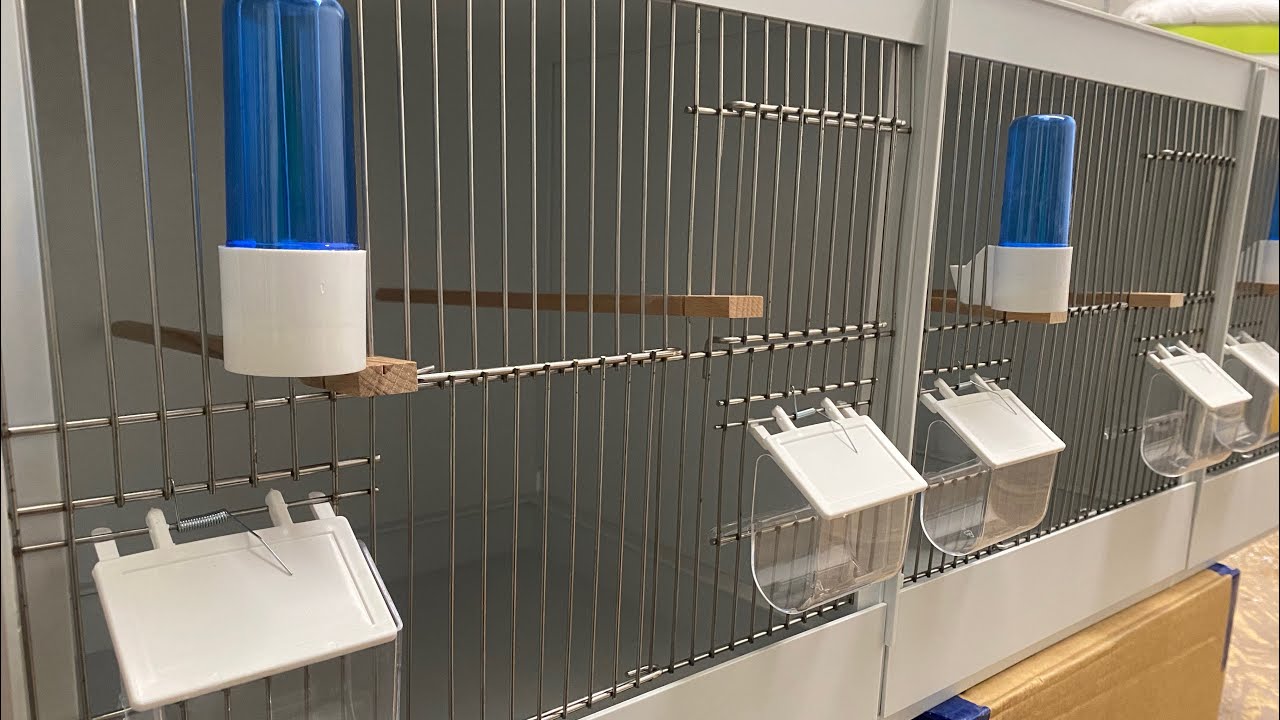 DTV Plastic Finch / Canary Breeding Cages by SAM1