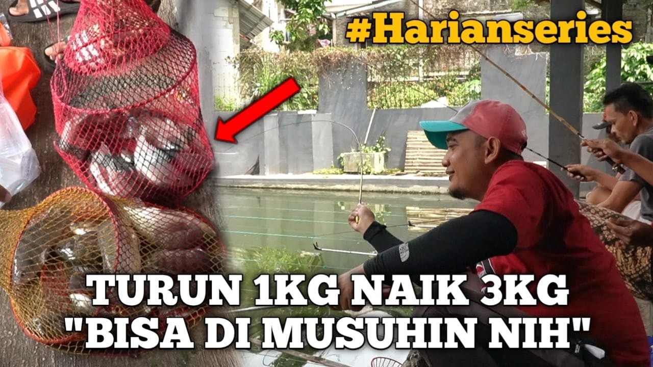 ADU ILMU DI MANCING NILA HARIAN !! SIAPA TAKUT BROO !! CUKUP SETENGAH HARI !!