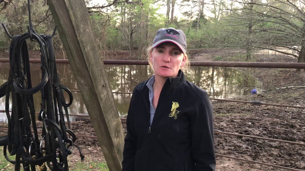 Horsemanship: How to Figure 8 a Bridle