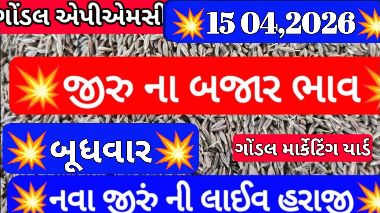 jeera na bajar bhav | જીરા ના બજાર ભાવ | Cumin Market Price | ગોંડલ માર્કેટ યાર્ડ ના ભાવ  15,04,2026